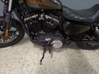 Harley-Davidson Iron 883 – 2019 (Custom Urbana)