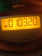 Harley Davidson XL Street 750c.c. Año 2018